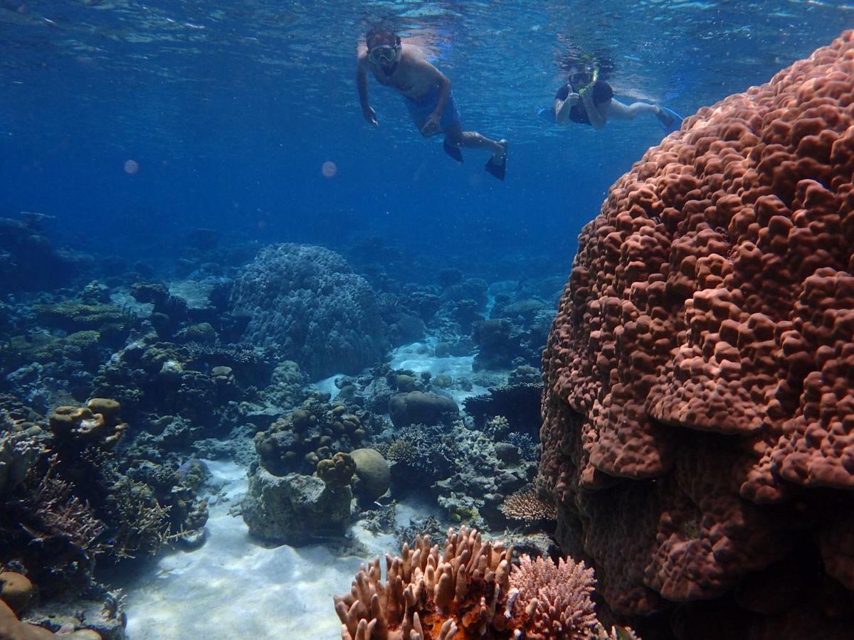 Blue Coral Homestay Karimunjawa Kültér fotó