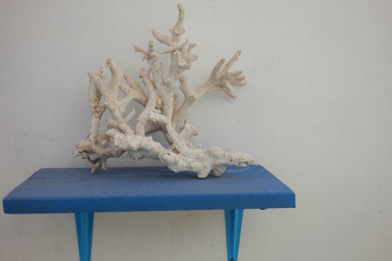 Blue Coral Homestay Karimunjawa Kültér fotó